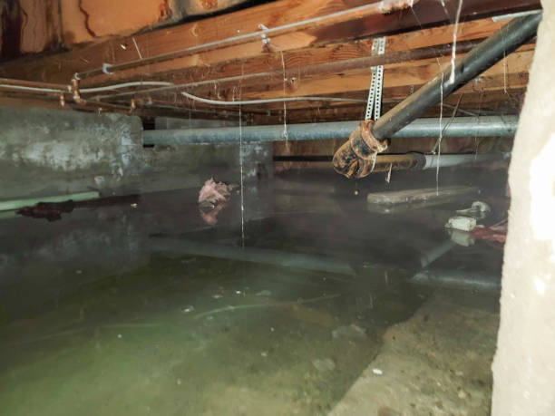 Best Sewage cleanup and water damage restoration  in Waukesha, WI