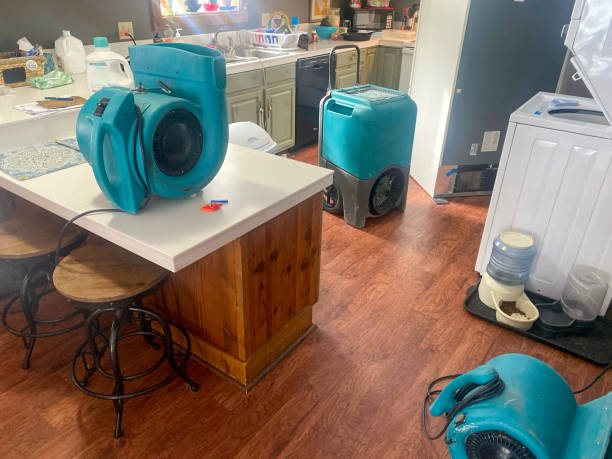 Best Water damage contractors near me  in Waukesha, WI