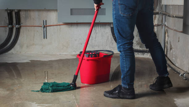 Best 24-hour water damage restoration  in Waukesha, WI