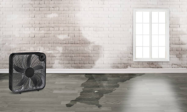 Best Flooded house restoration  in Waukesha, WI