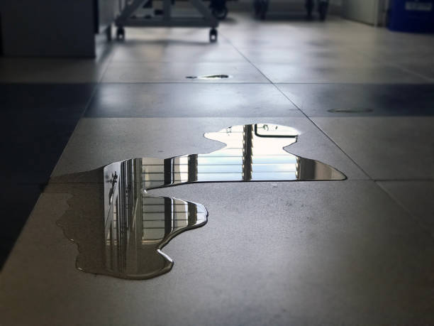 Best Sewage cleanup and water damage restoration  in Waukesha, WI