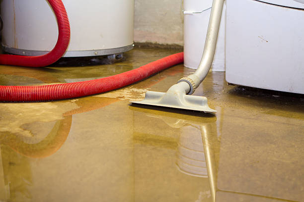 Best Carpet water damage restoration  in Waukesha, WI