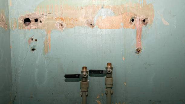 Best Water damage cleanup near me  in Waukesha, WI