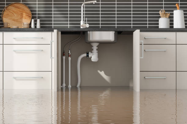 Best 24/7 water damage repair  in Waukesha, WI